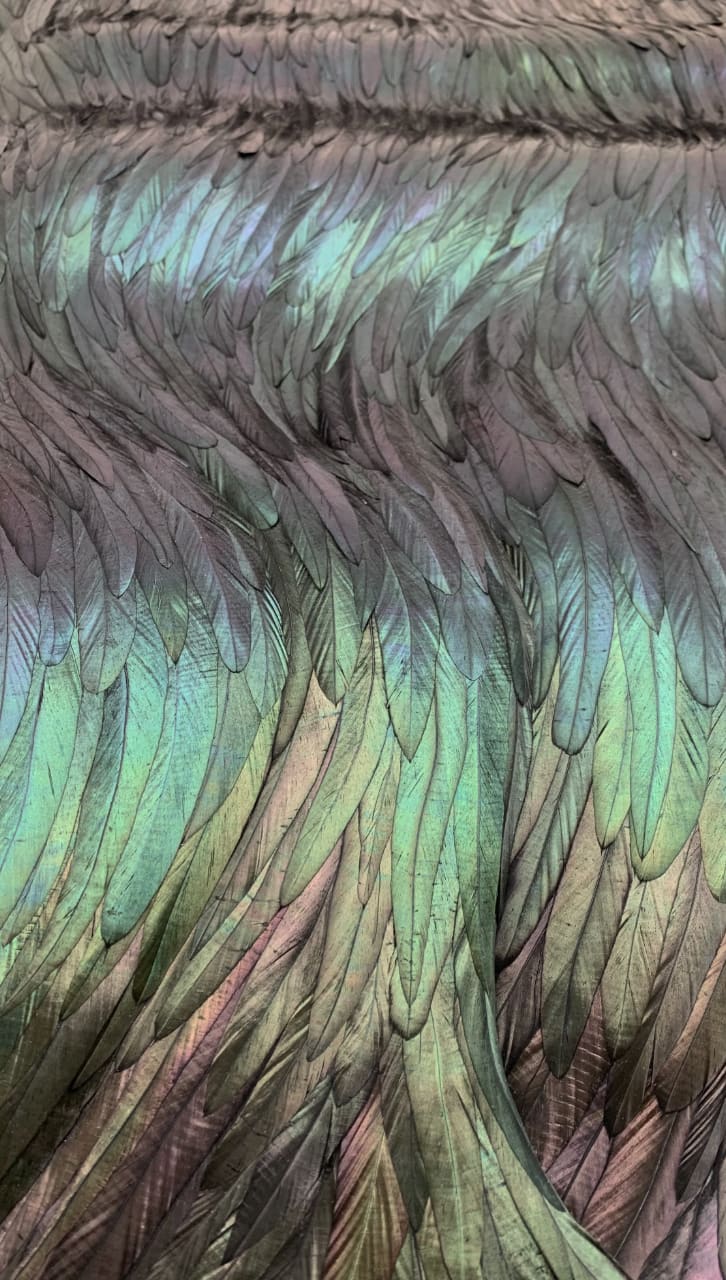 Kate MccGwire, Coruscate, 2022