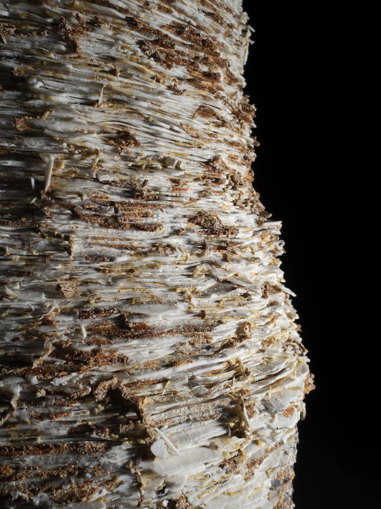 Luke Fuller, Hive I (larger piece), 2019