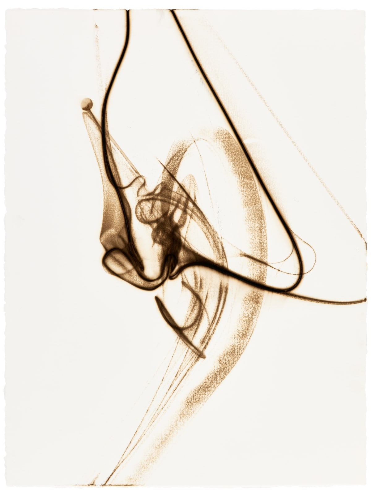 Etsuko Ichikawa, Trace 1225, 2025