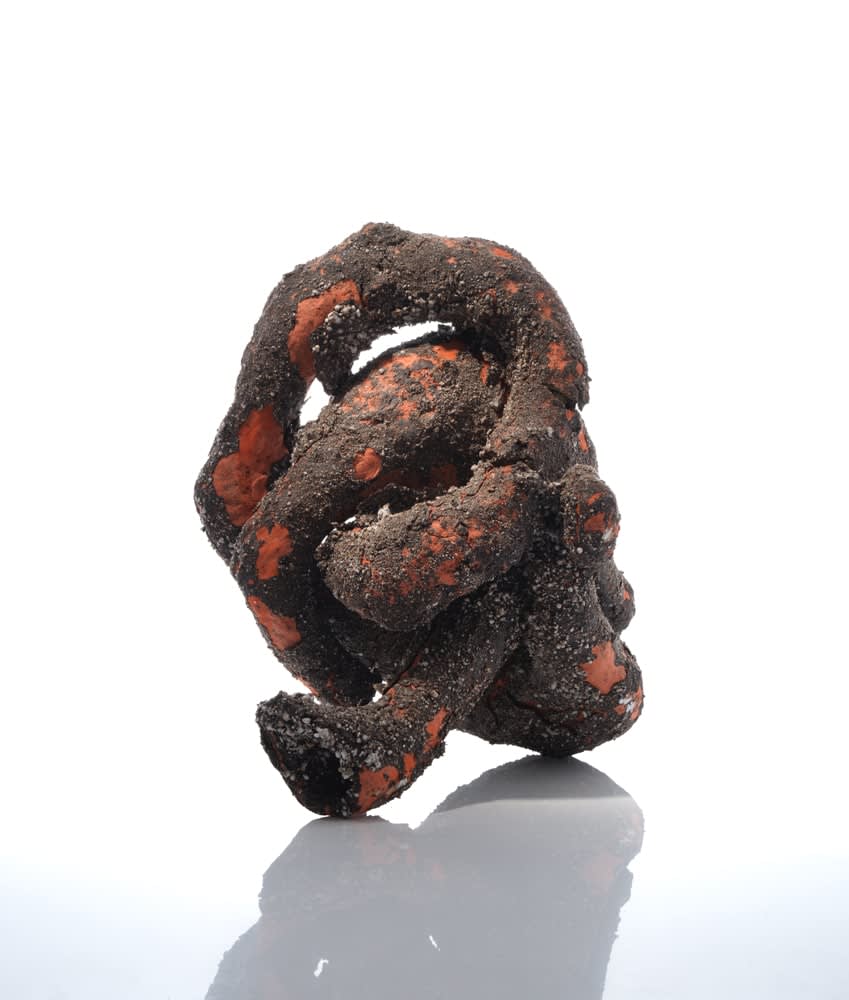 Aneta Regel, Knotweed, 2025