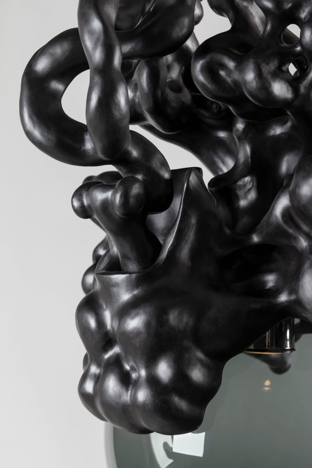 Tadeas Podracky, The Bloom of Bones Light in Black, 2025