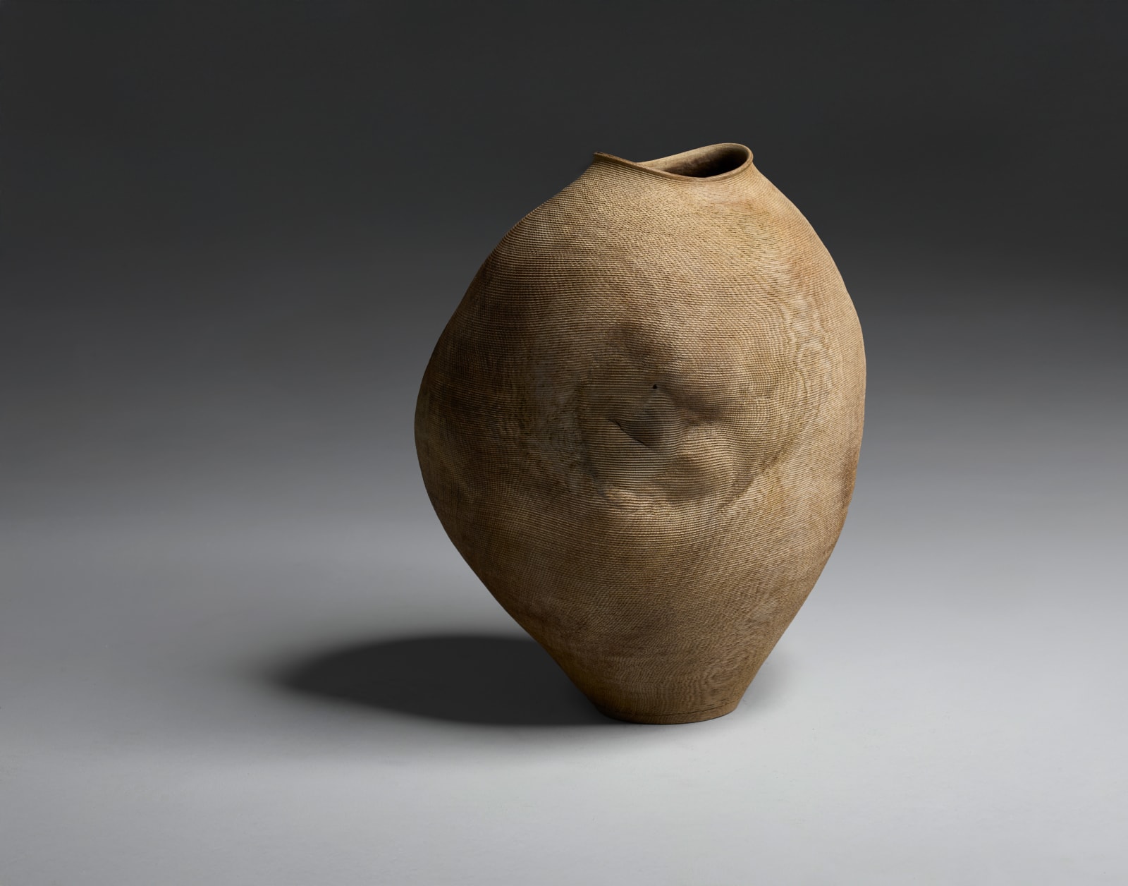 Ernst Gamperl, 13/2024//200, 2024
