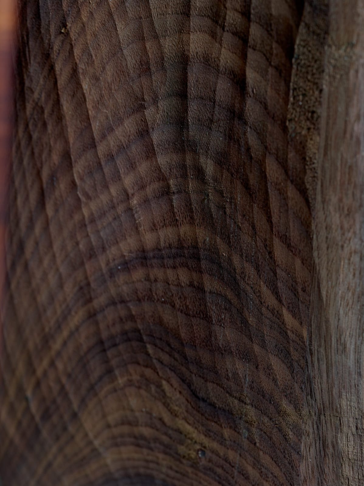 Christopher Kurtz, Linenfold Vanity II, 2023