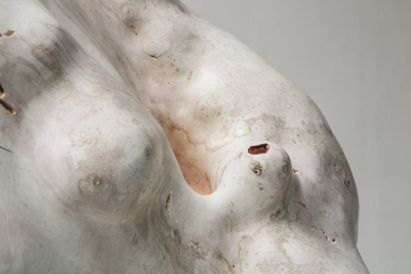 Julian Watts, Shell, 2022