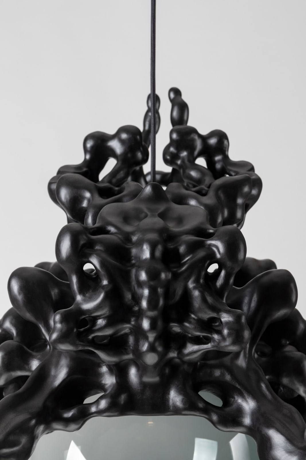 Tadeas Podracky, The Bloom of Bones Light in Black, 2025