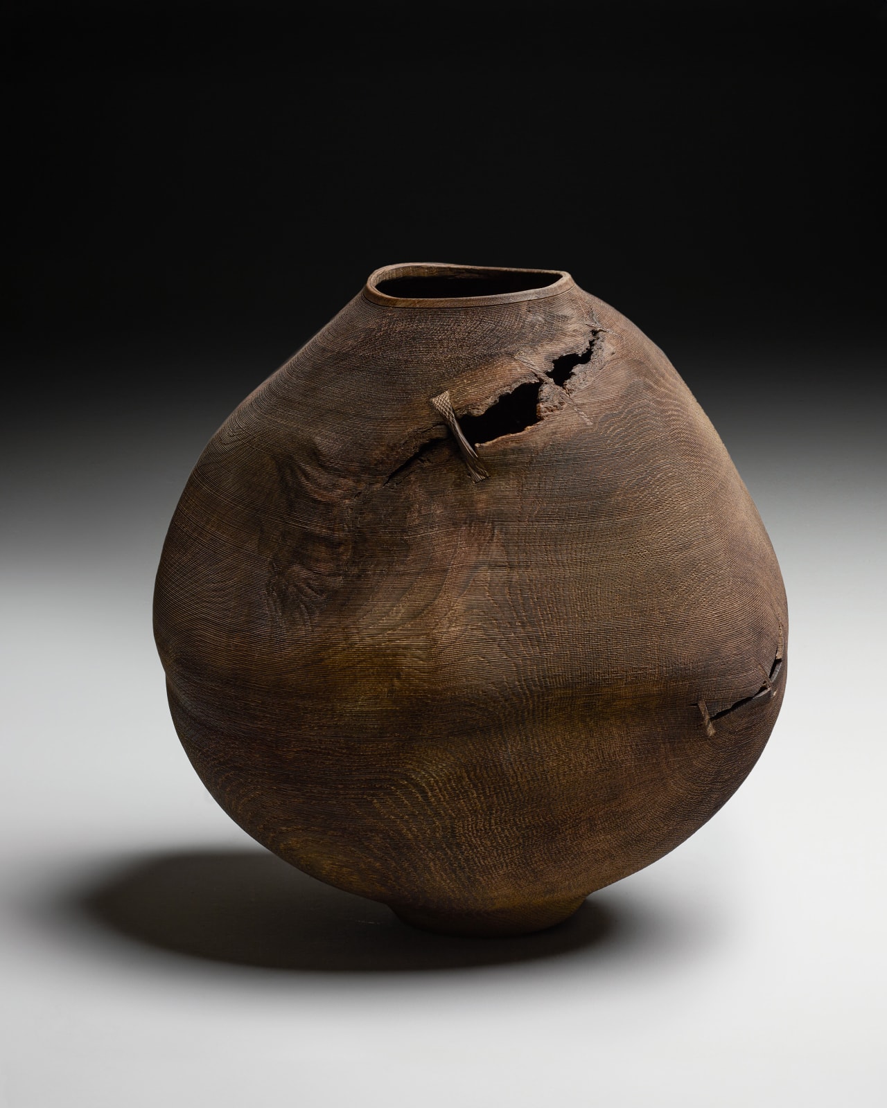 Ernst Gamperl, 41/2023//190, 2024