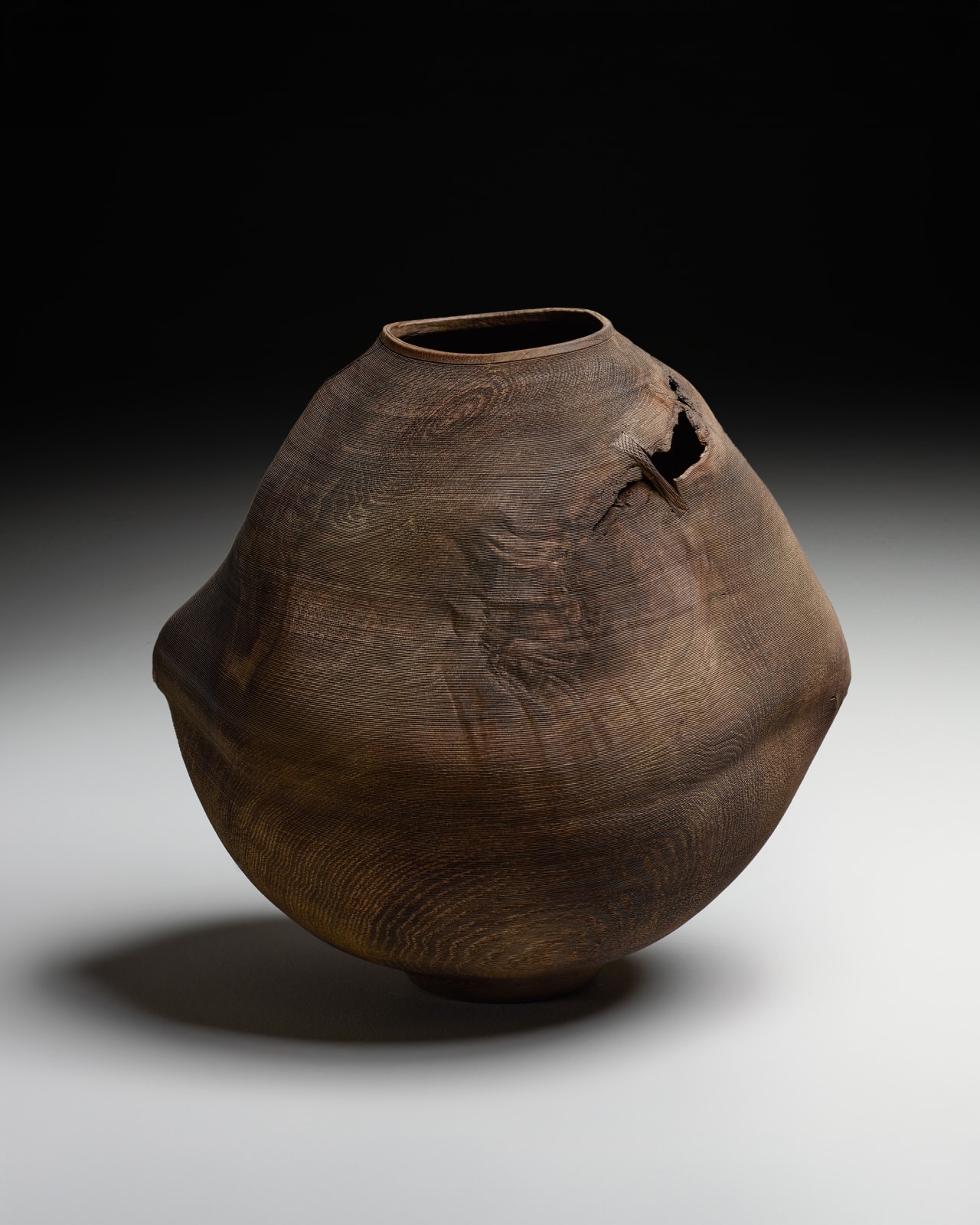 Ernst Gamperl, 41/2023//190, 2024