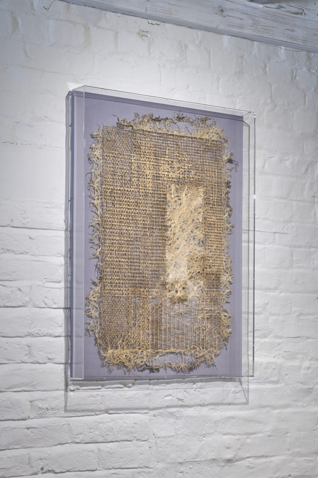 Diana Scherer, Exercises in Rootsystem Domestication II, 2020