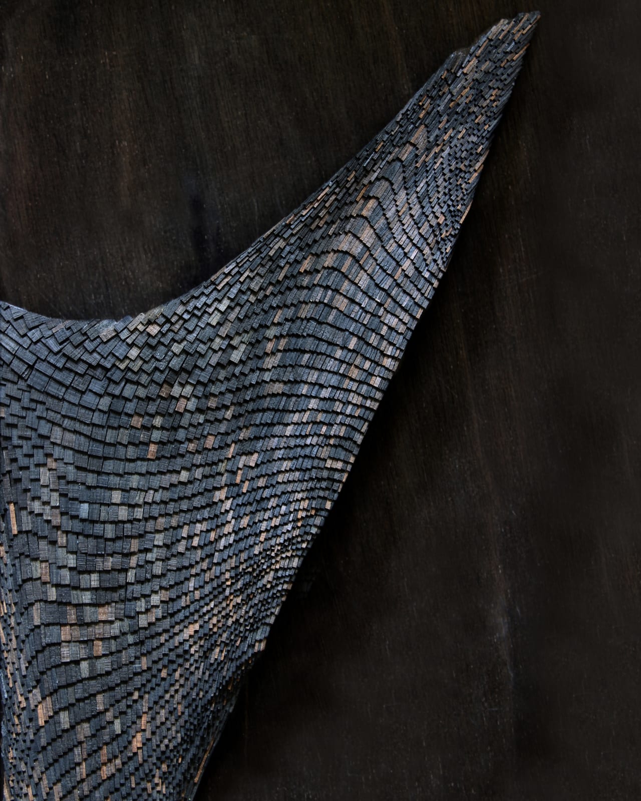 Wycliffe Stutchbury, Holme Fen 7, 2025