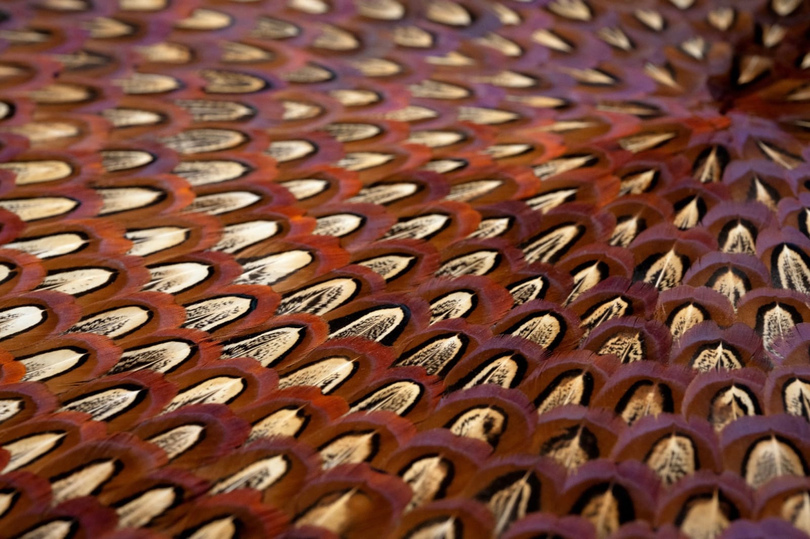 Kate MccGwire, THROB, 2023