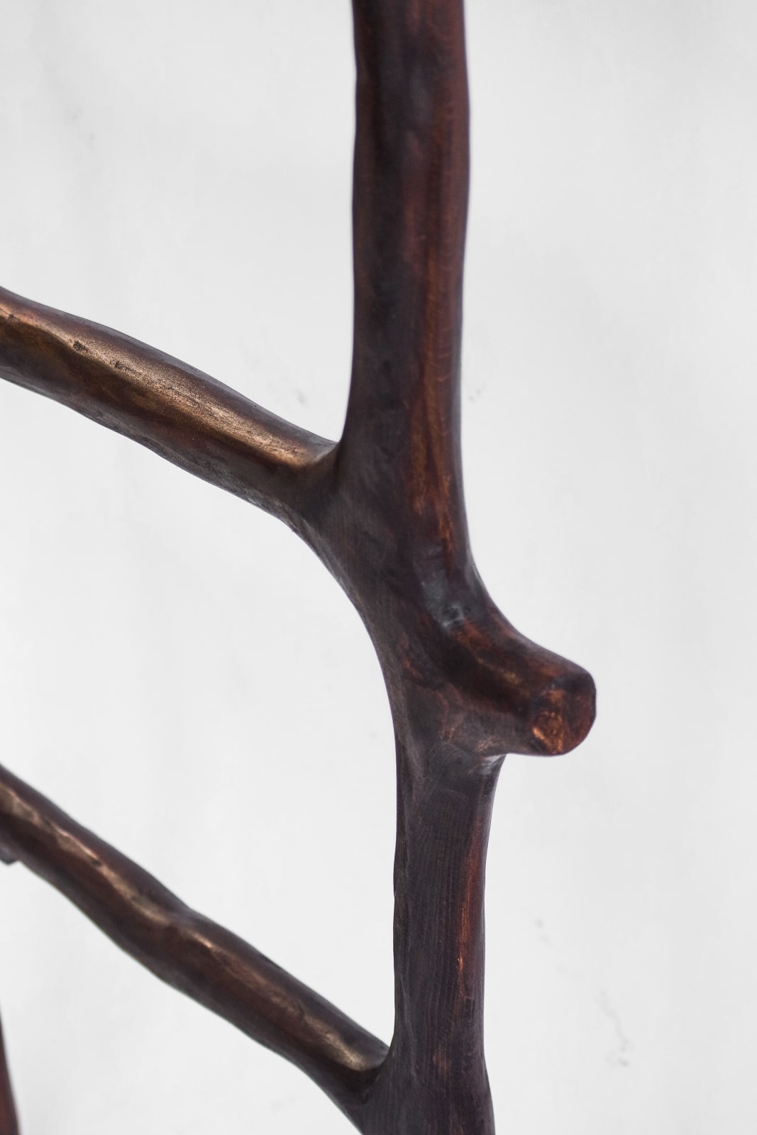 Willem Van Hooff, Branch ladder (large), 2025