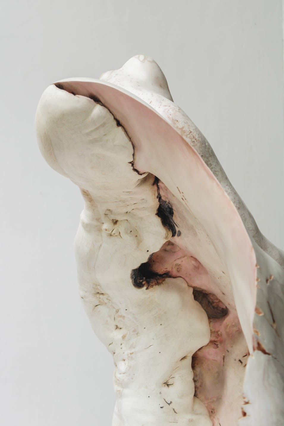 Julian Watts, Shell, 2022