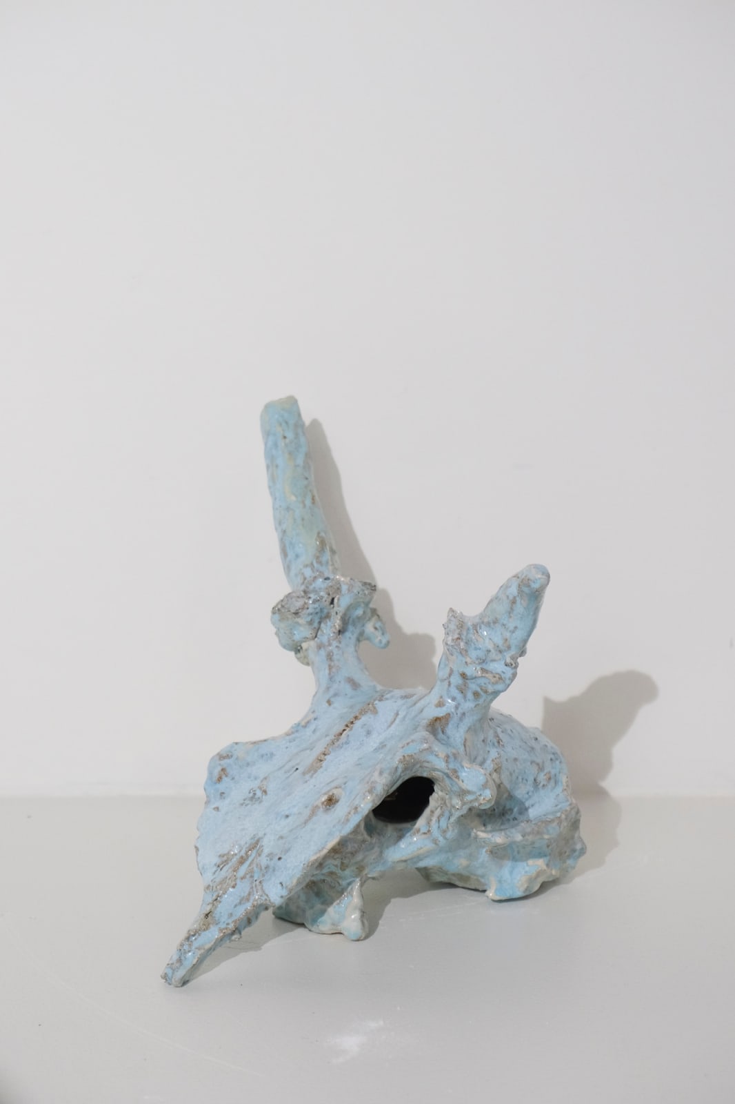 Aneta Regel, Horned 1, 2024