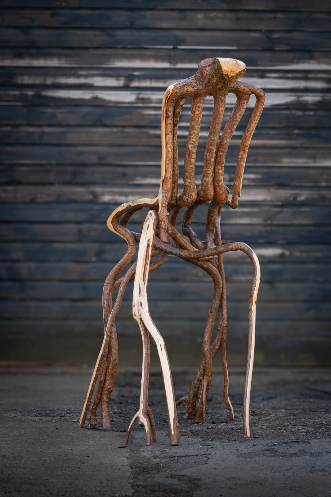 Full Grown, The Kraken Chair, 2024