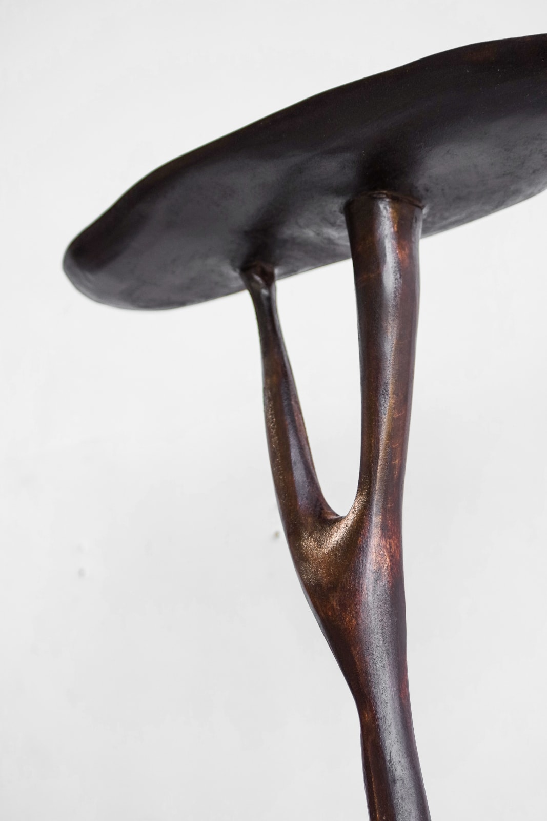 Willem Van Hooff, Branch shelf, 2025