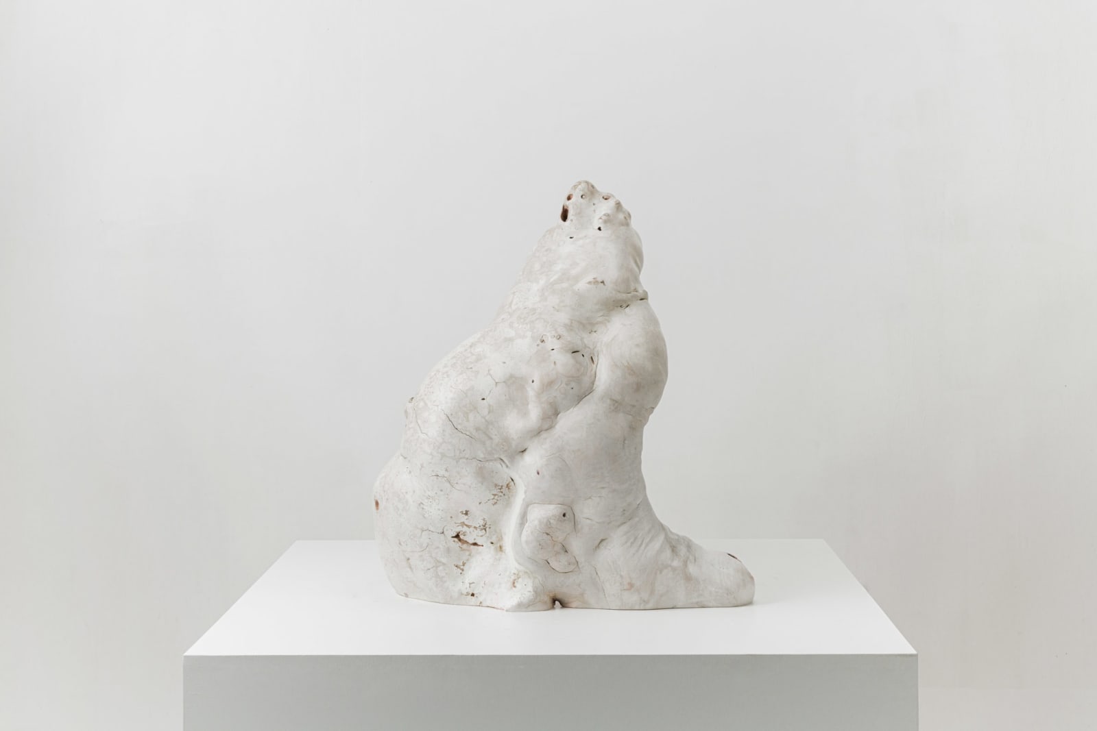 Julian Watts, Shell, 2022