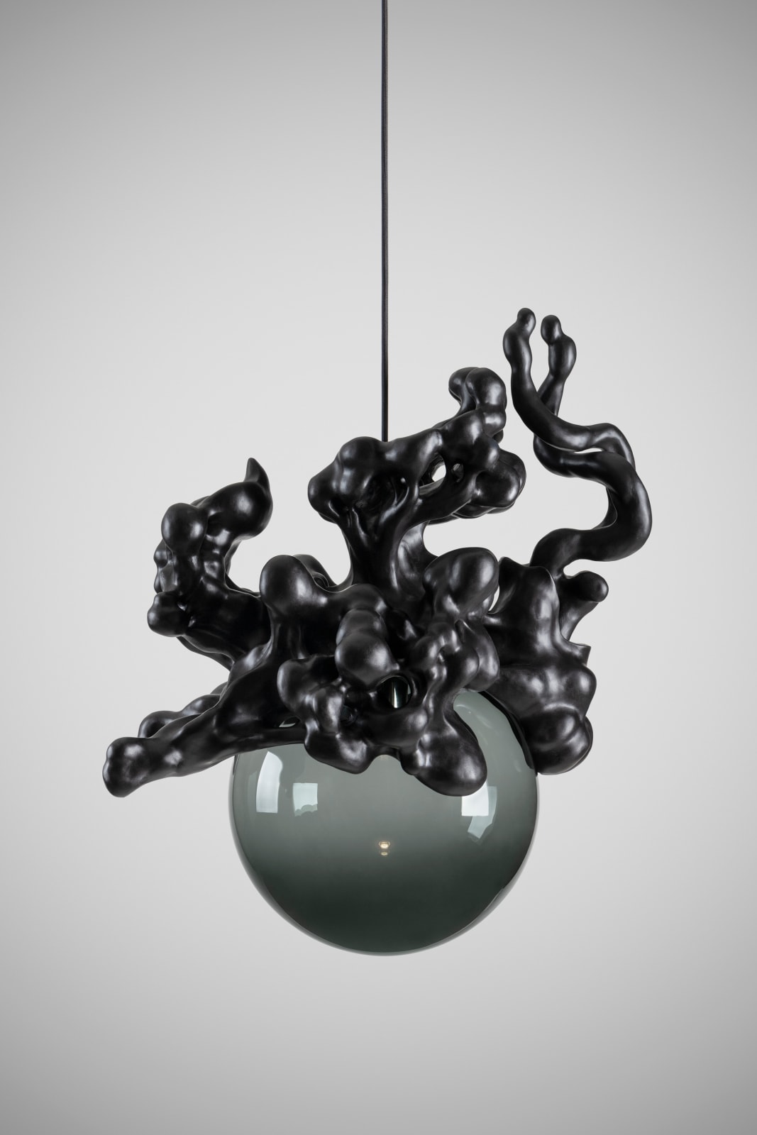 Tadeas Podracky, The Bloom of Bones Light in Black, 2025