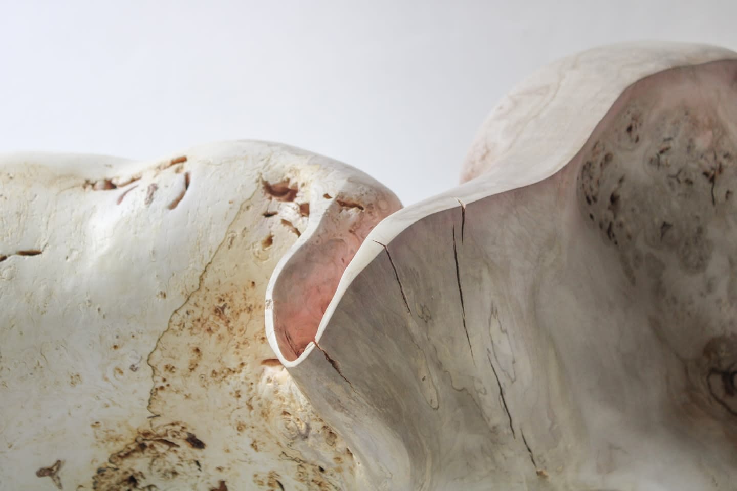 Julian Watts, Plume, 2022