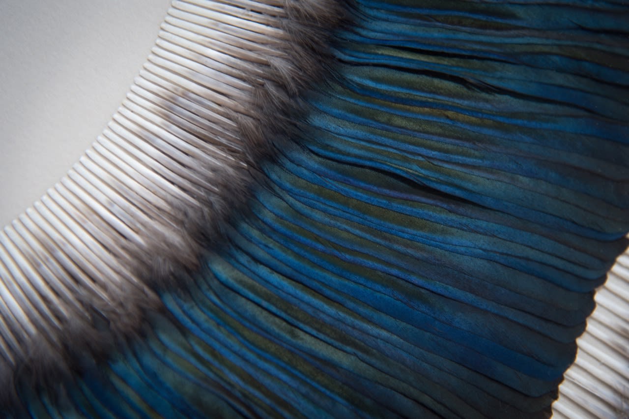 Kate MccGwire, Swell, 2019