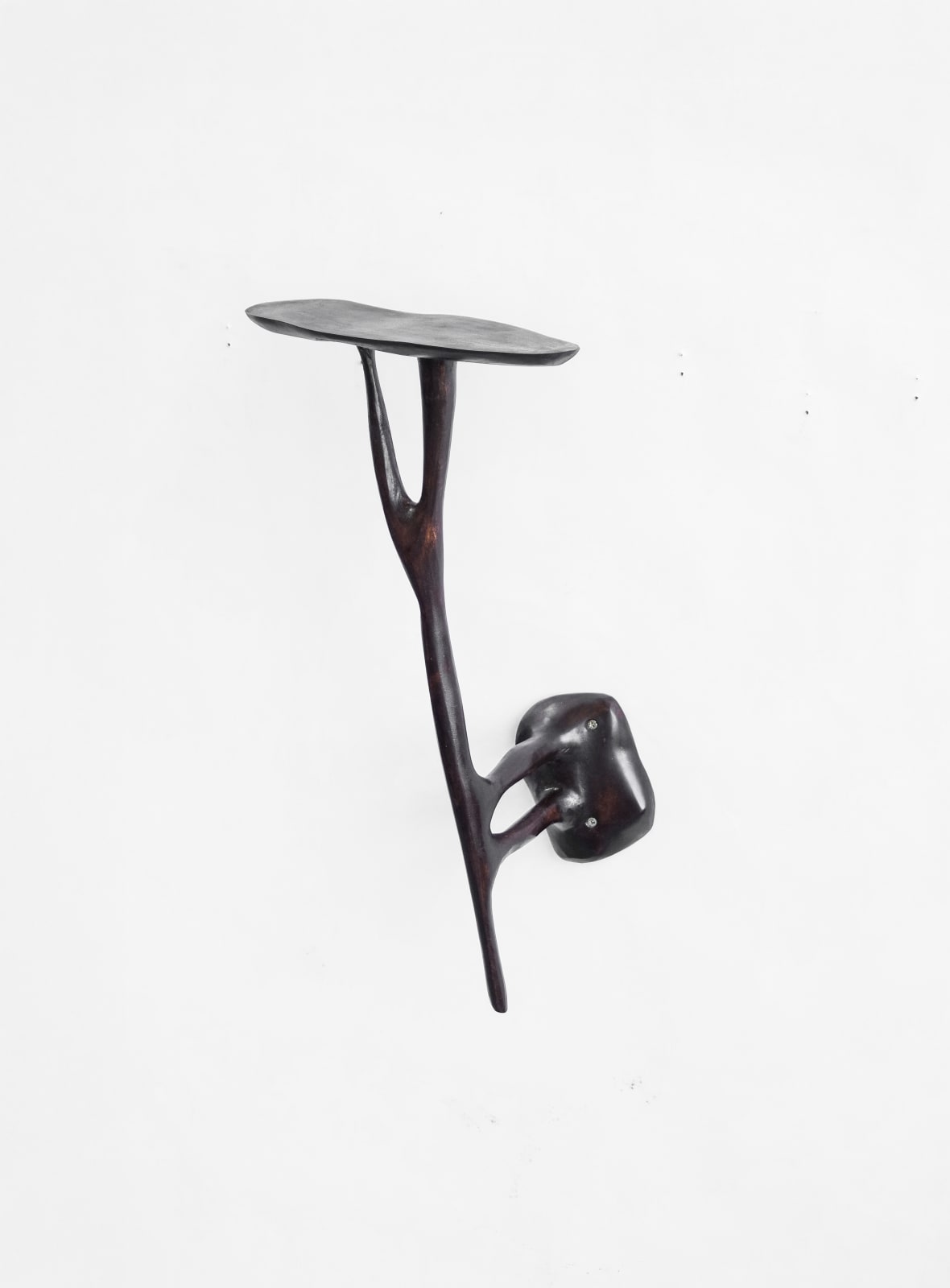 Willem Van Hooff, Branch shelf, 2025