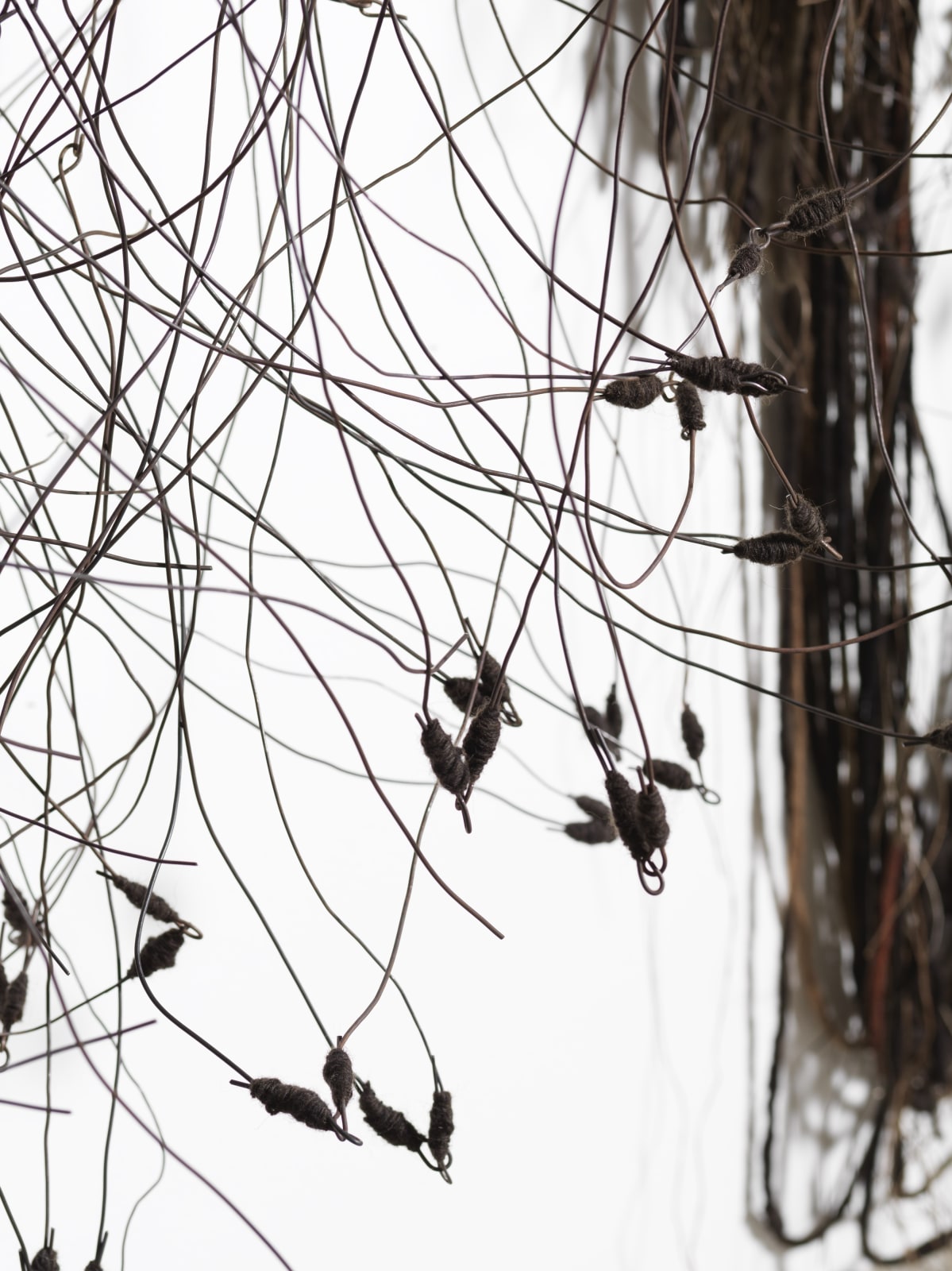 Teresa Hastings, Where the Mountains Touch the River, 2024