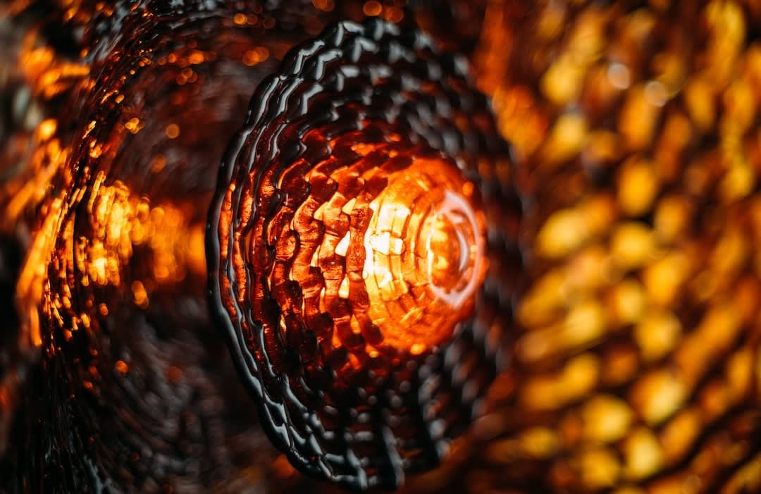 Ori Orisun Merhav, Insect Morphōsis, 2025