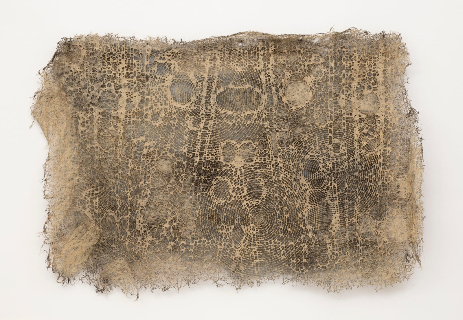Diana Scherer, Interwoven #7, 2024