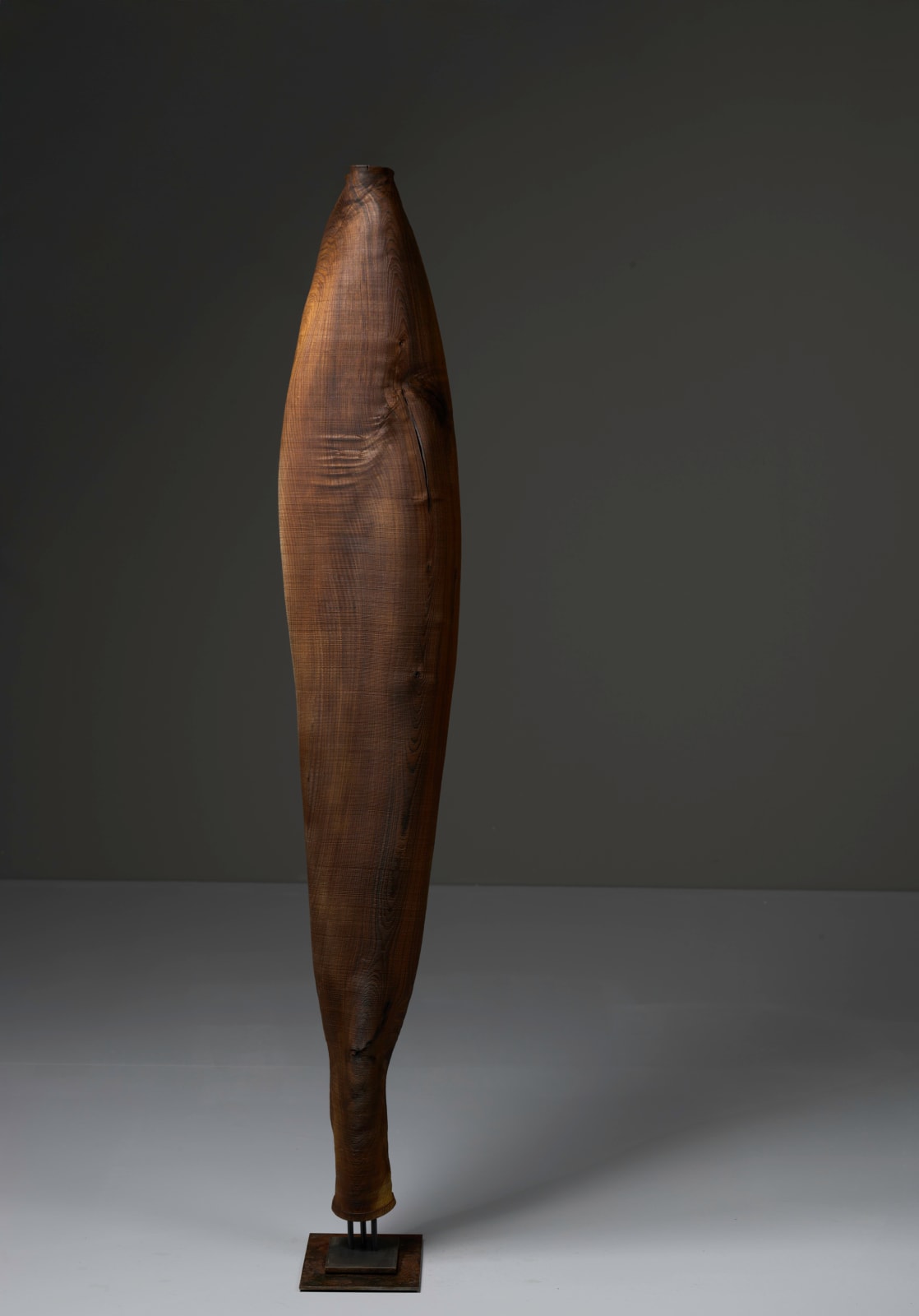 Ernst Gamperl, 29/2024//170, 2024