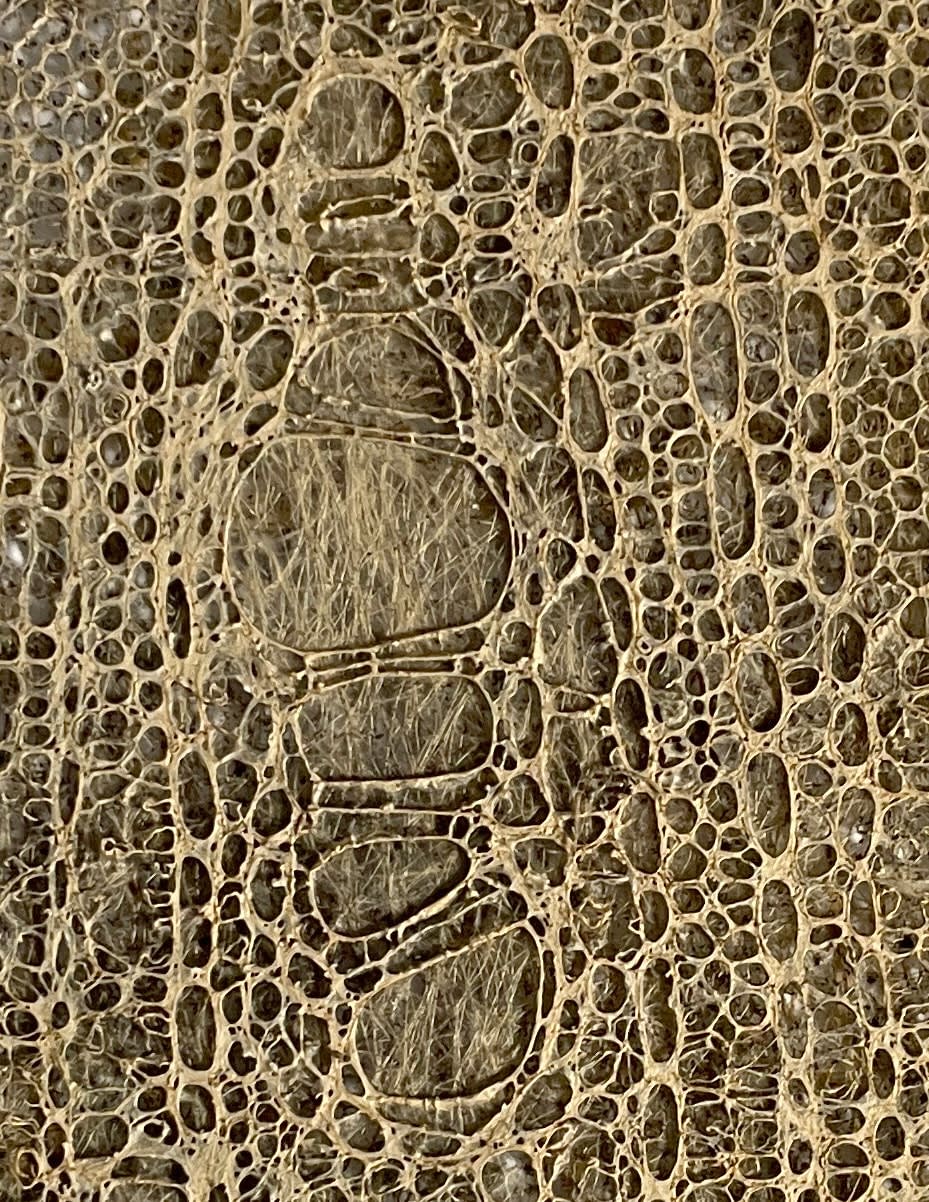 Diana Scherer, Hyper Rhizome 05-24, 2024