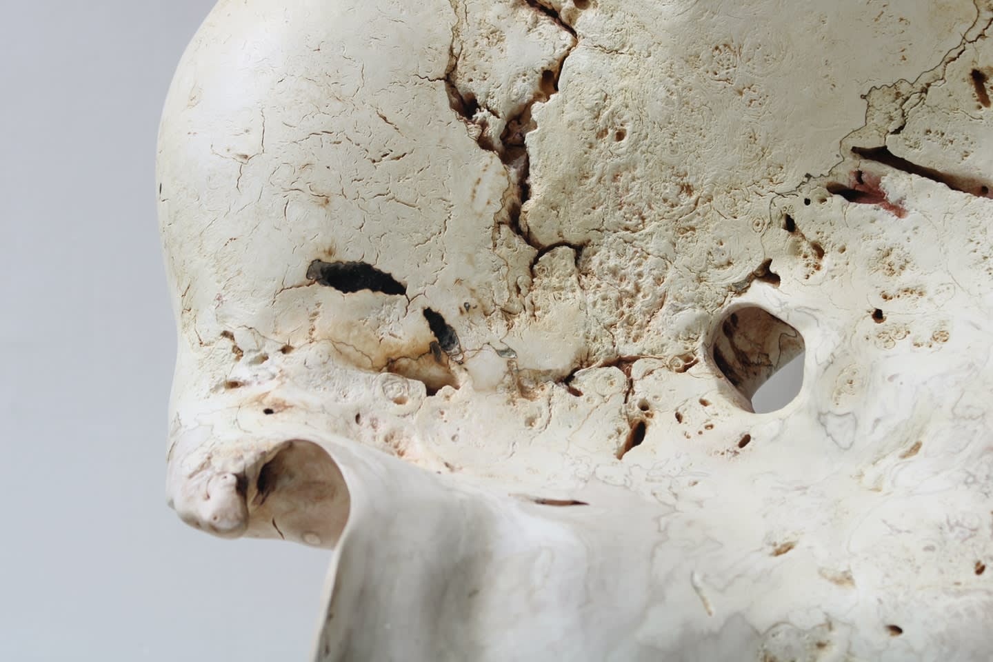 Julian Watts, Plume, 2022