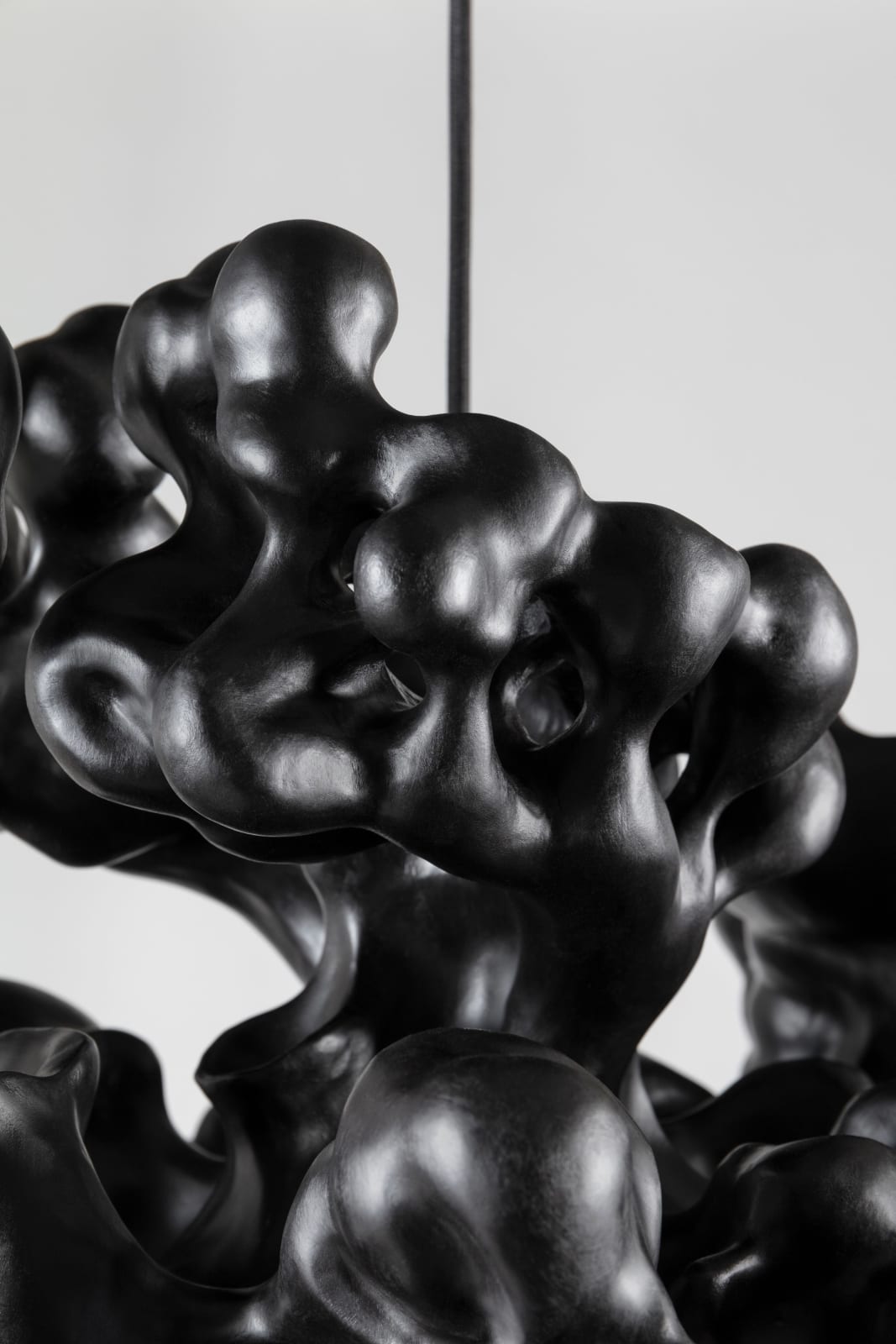 Tadeas Podracky, The Bloom of Bones Light in Black, 2025