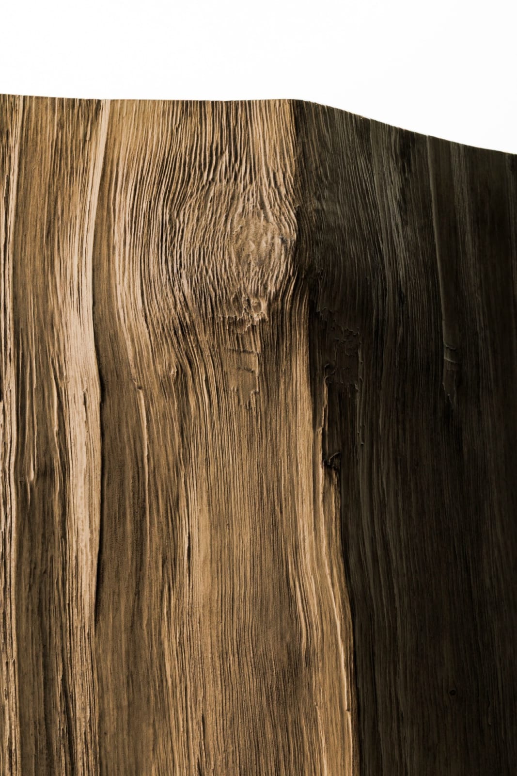 Kenji Honma, Contours of Past 2501, 2025