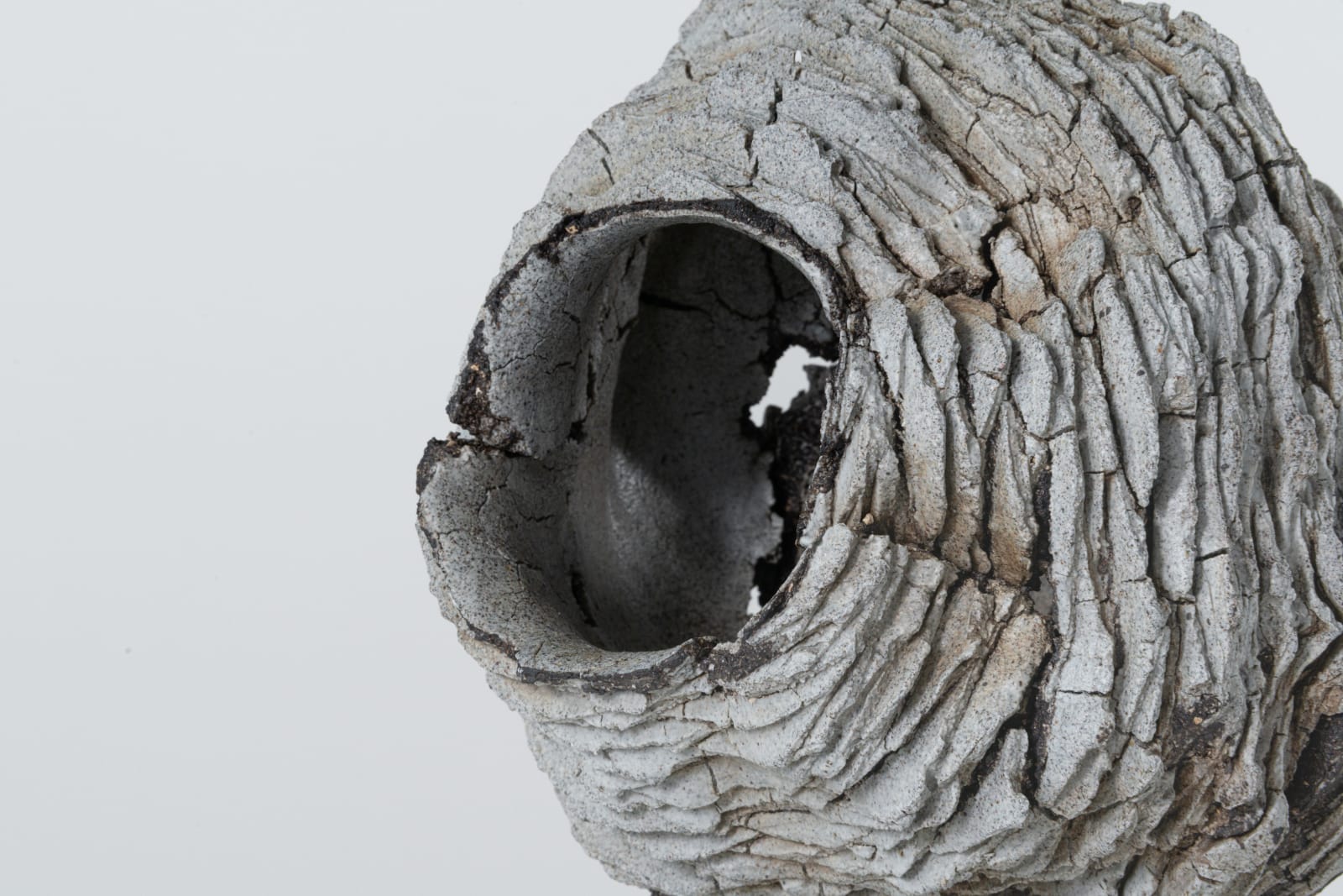 Luke Fuller, Untitled, 2025