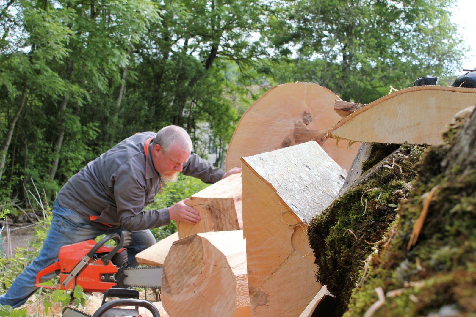 Marc Ricourt, 06 Beech C19, 2019