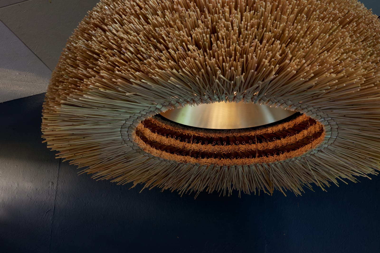 Studio Amos, TAET Light 4, 2024