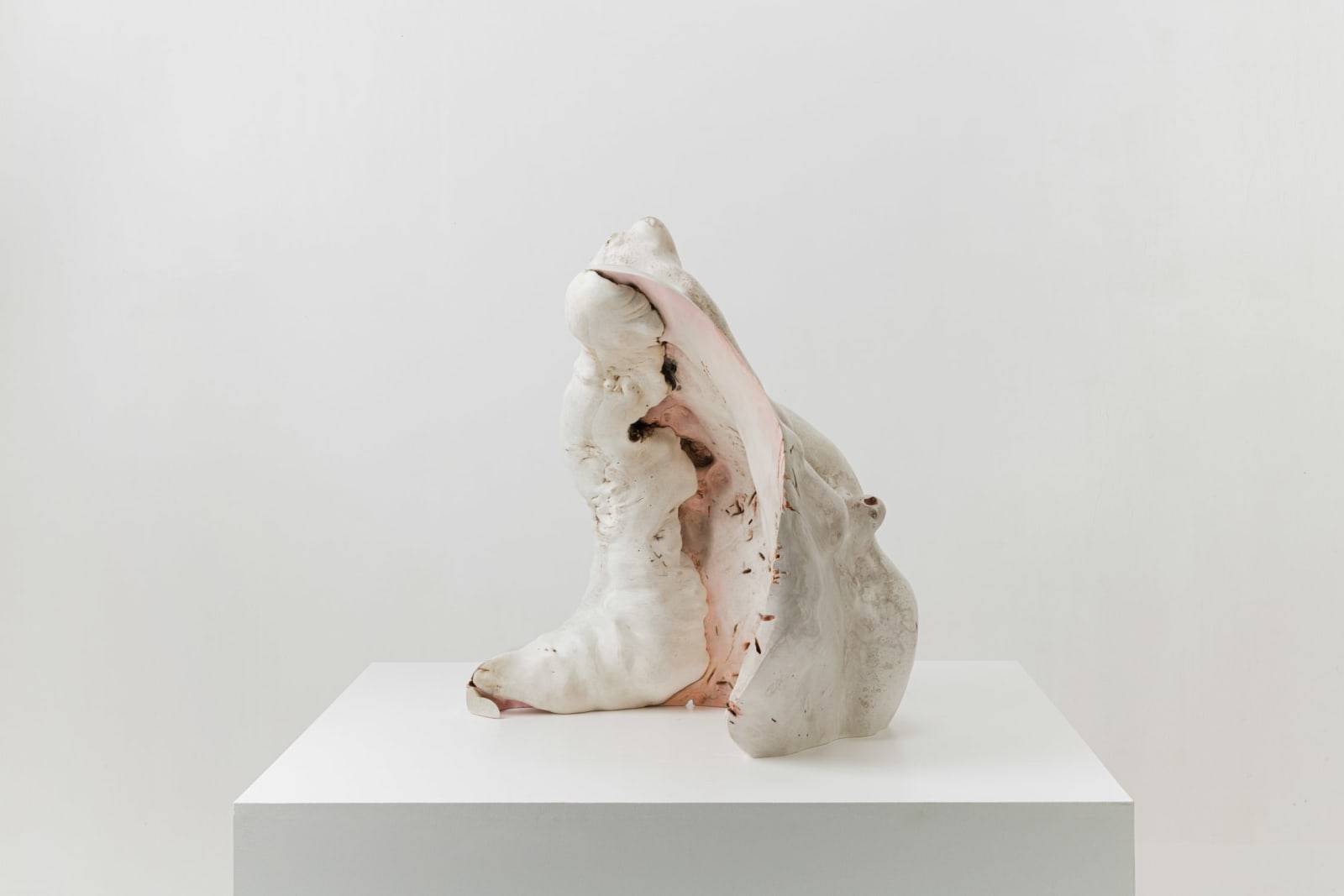 Julian Watts, Shell , 2022