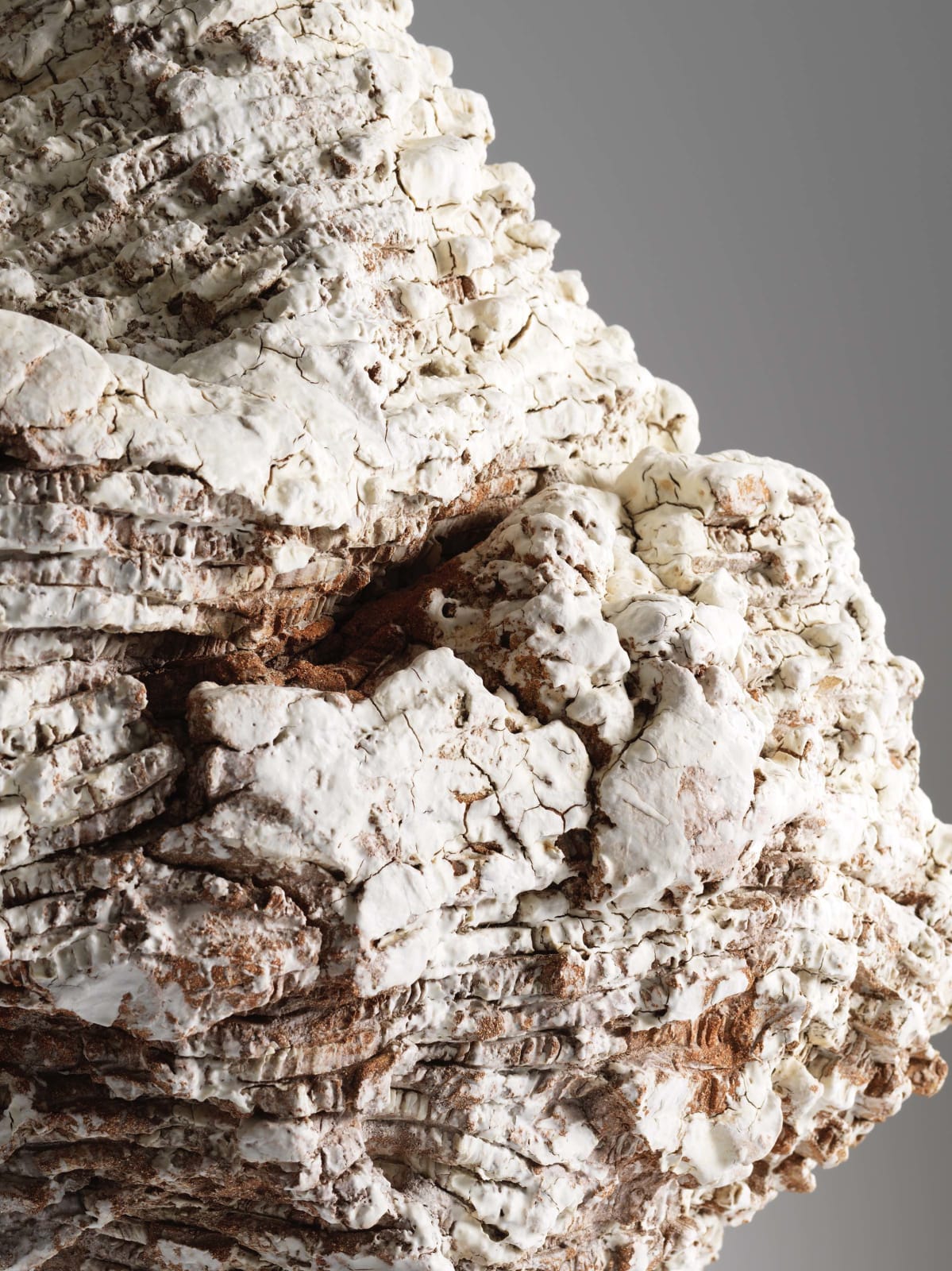 Luke Fuller, Nucleus, 2023