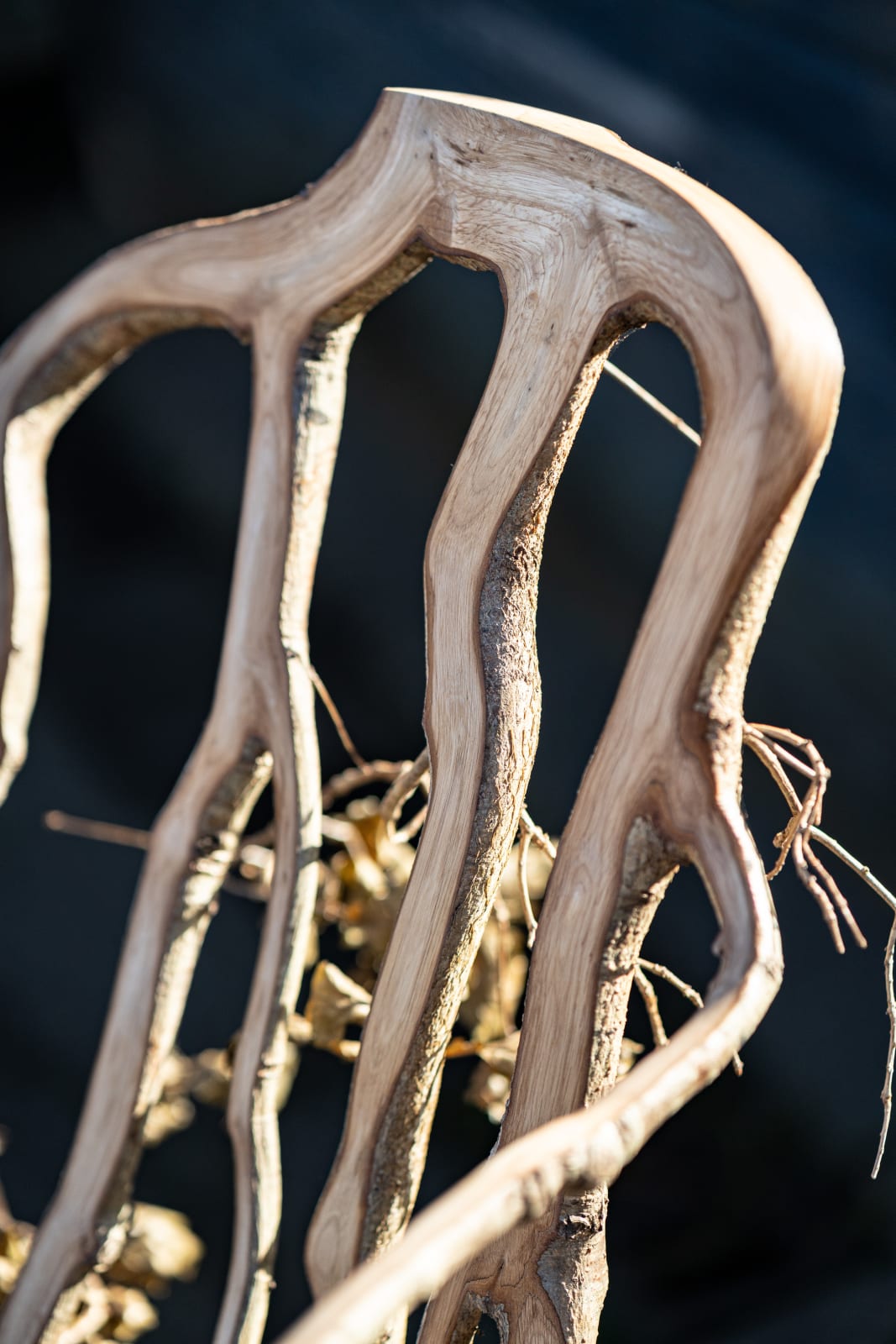 Full Grown, The Daphne Chair, 2024