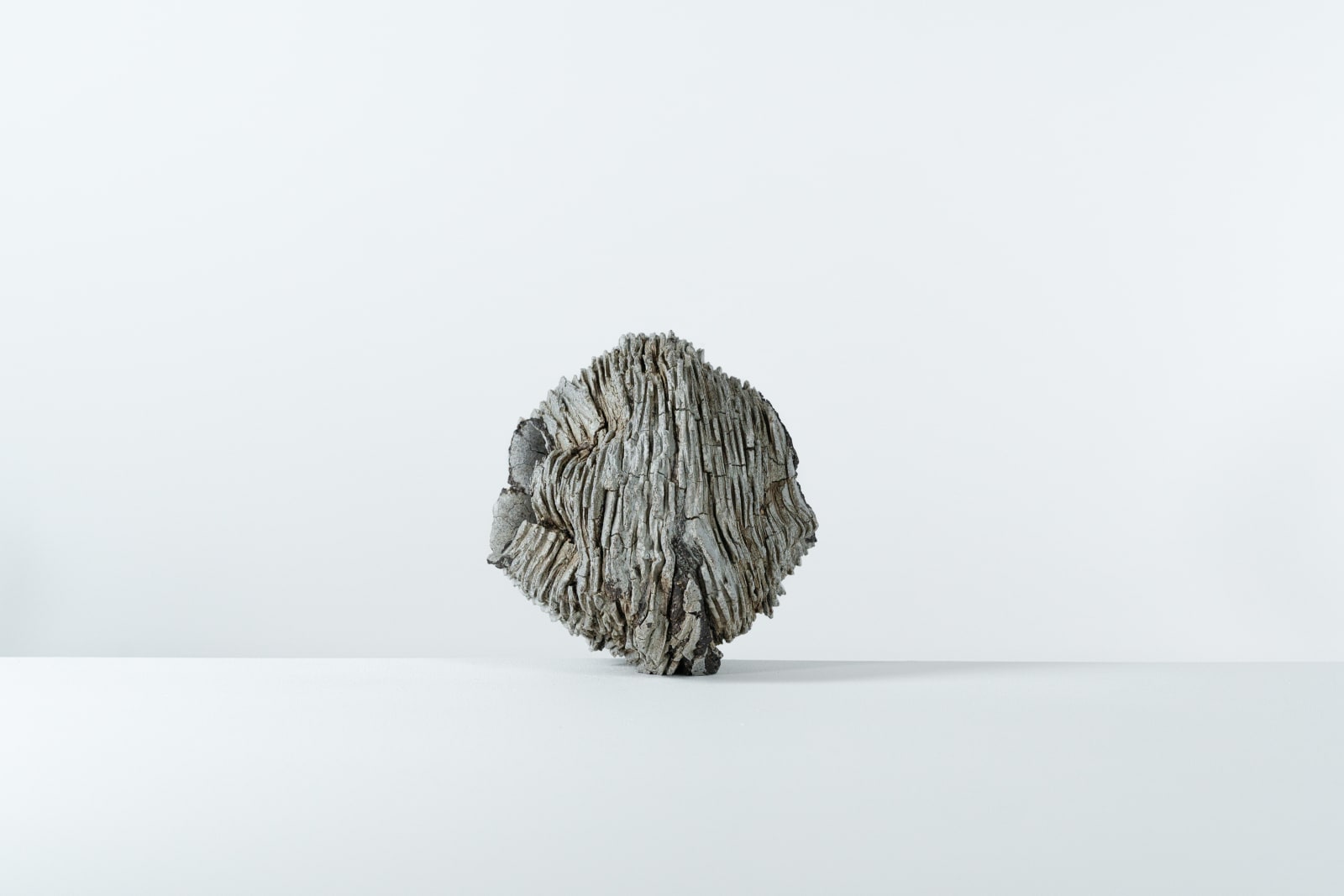 Luke Fuller, Untitled, 2025