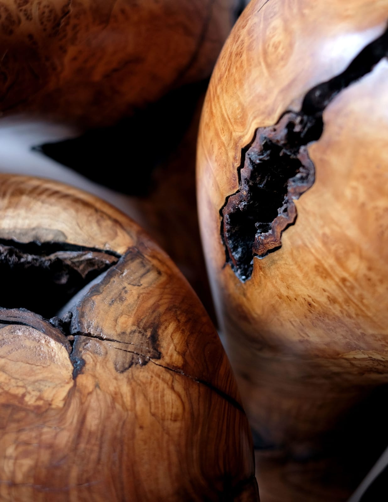 Aldo Bakker, Tonus (Olive Family), 2022