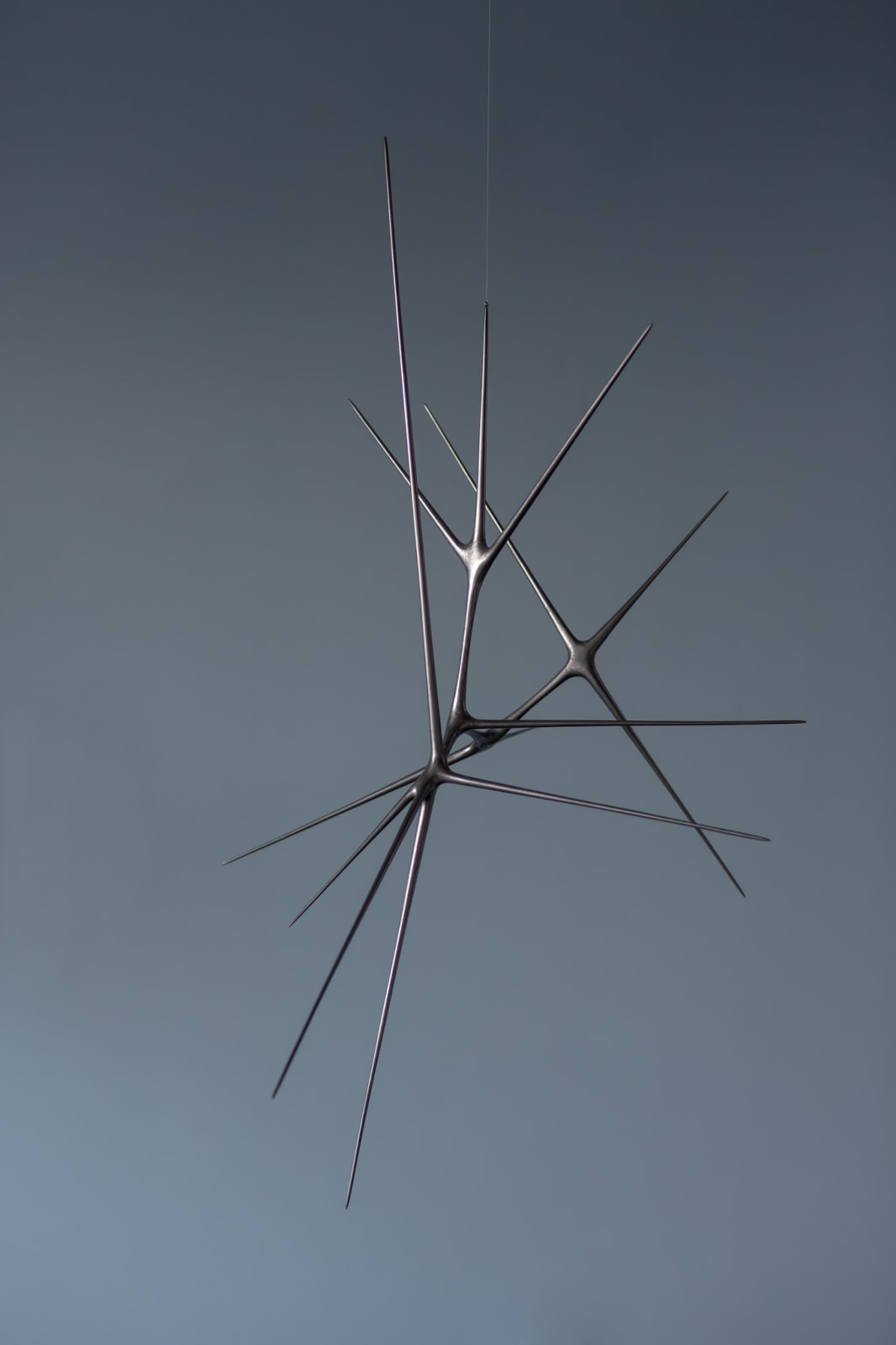 Christopher Kurtz, Meridian, 2025