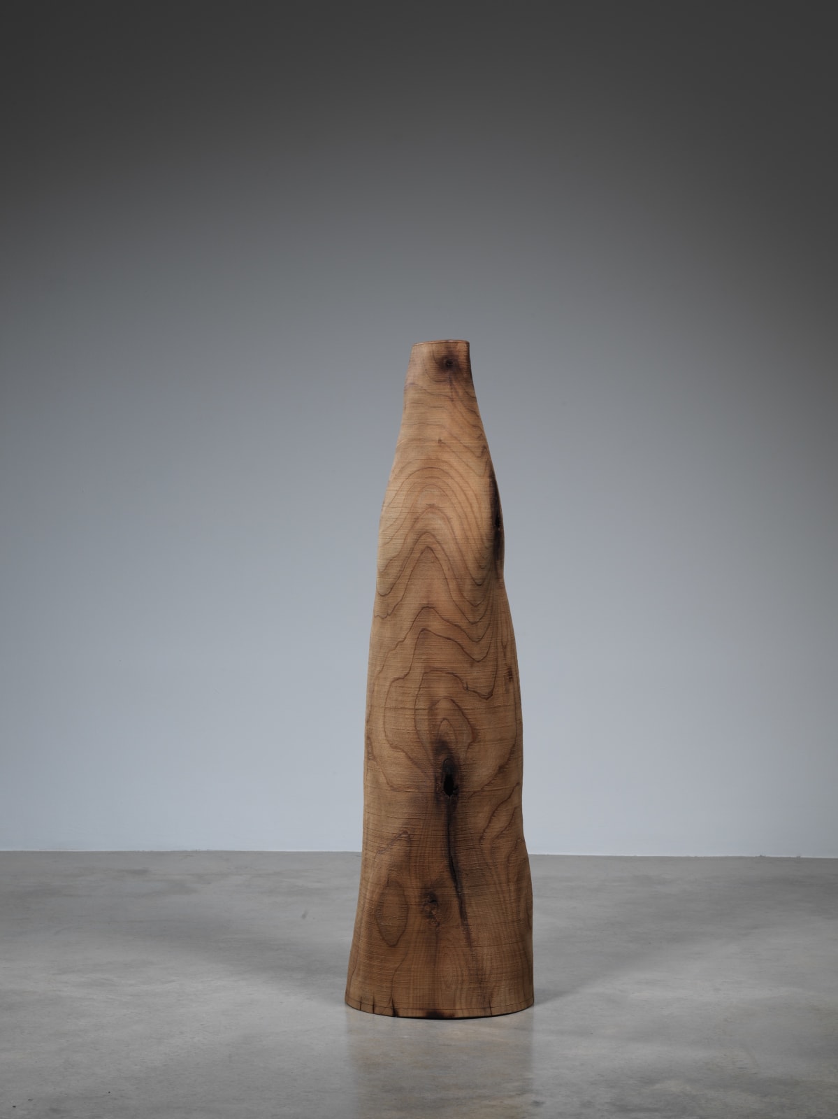 Ernst Gamperl, 61/2019/100, 2019