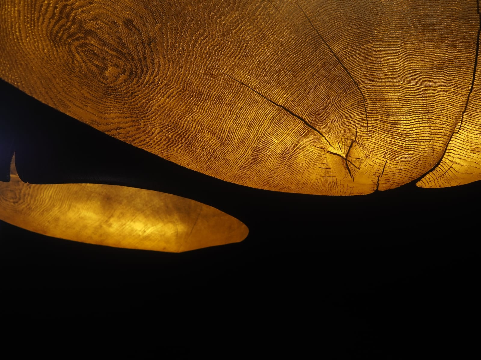 Nic Webb, Kin Kumo II, 2025