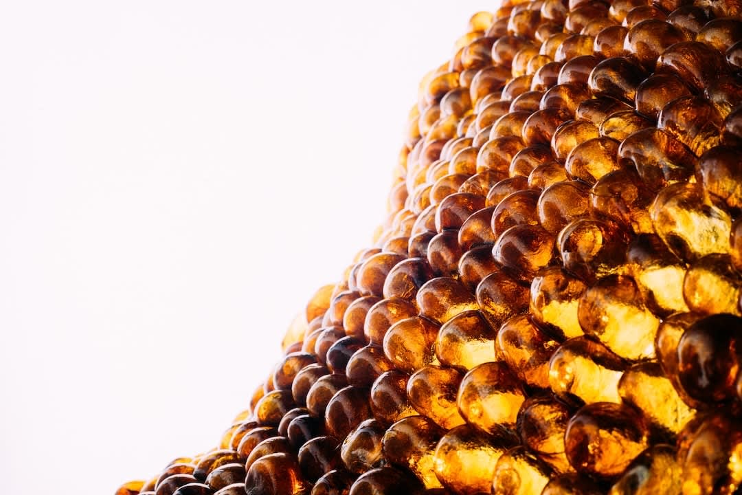 Ori Orisun Merhav, Insect Morphōsis, 2025