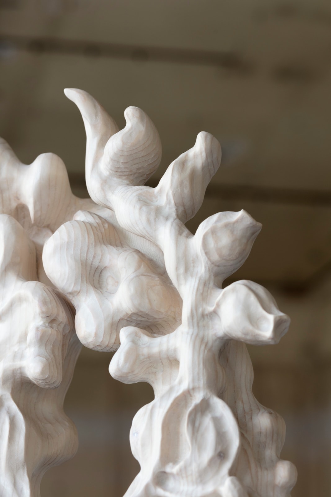 Tadeas Podracky, Morana, 2024