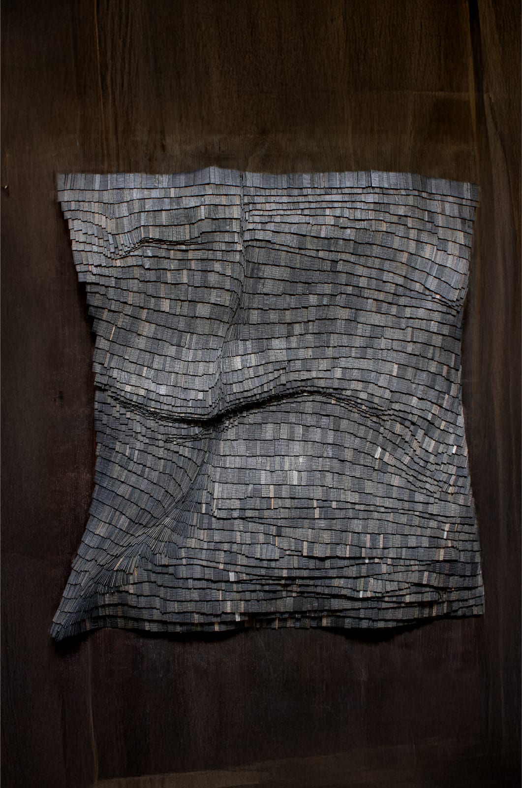 Wycliffe Stutchbury, Holme Fen 8, 2025