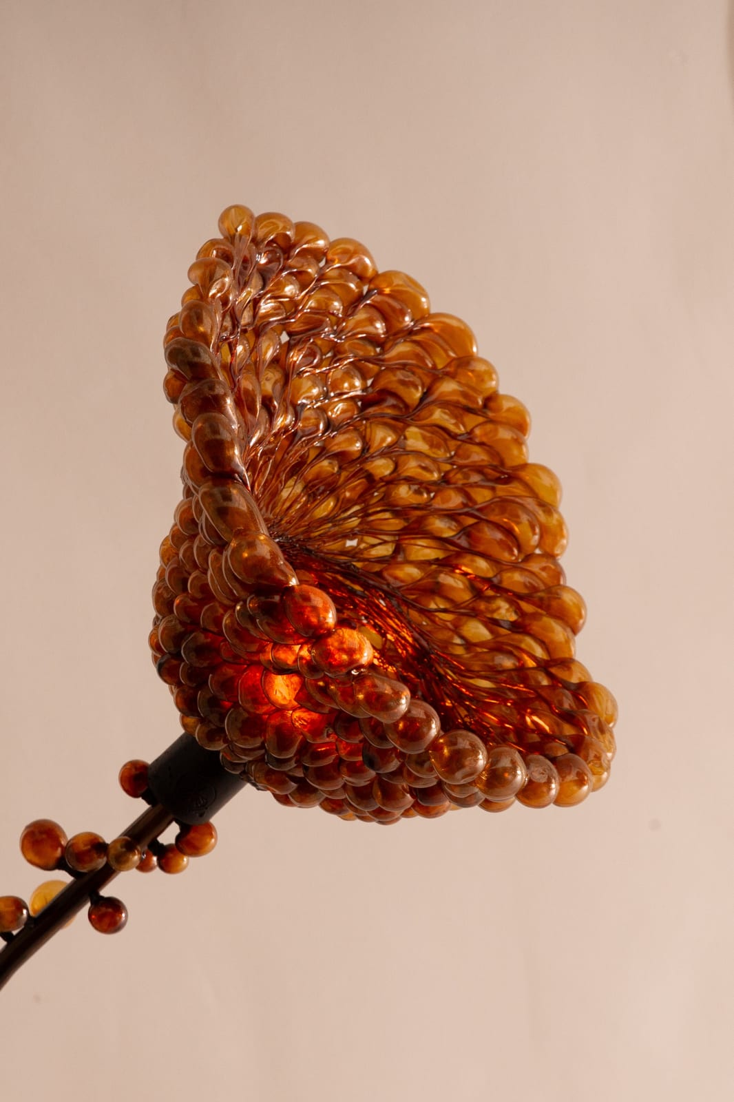 Ori Orisun Merhav, Branching Insects (chandelier), 2024