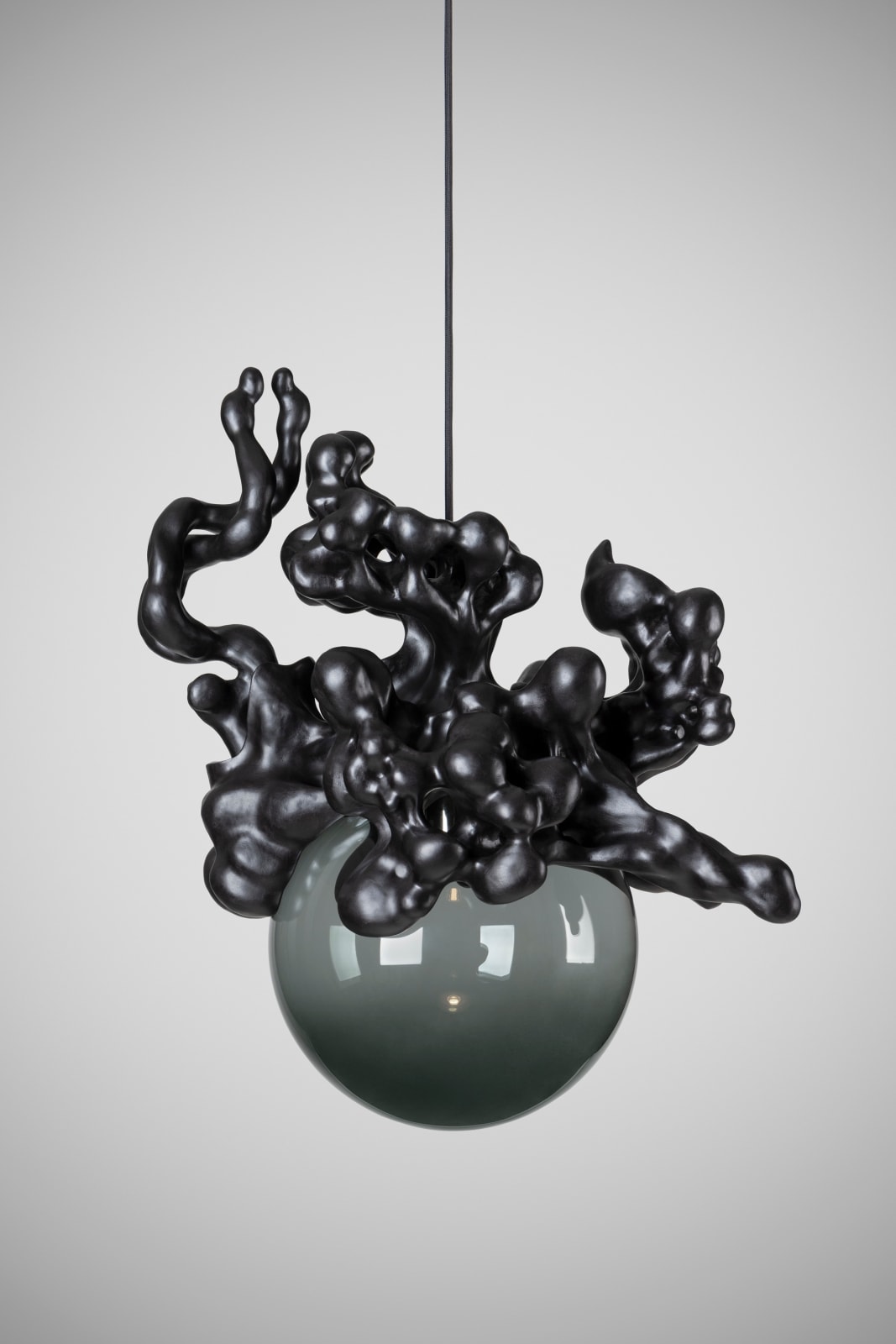 Tadeas Podracky, The Bloom of Bones Light in Black, 2025