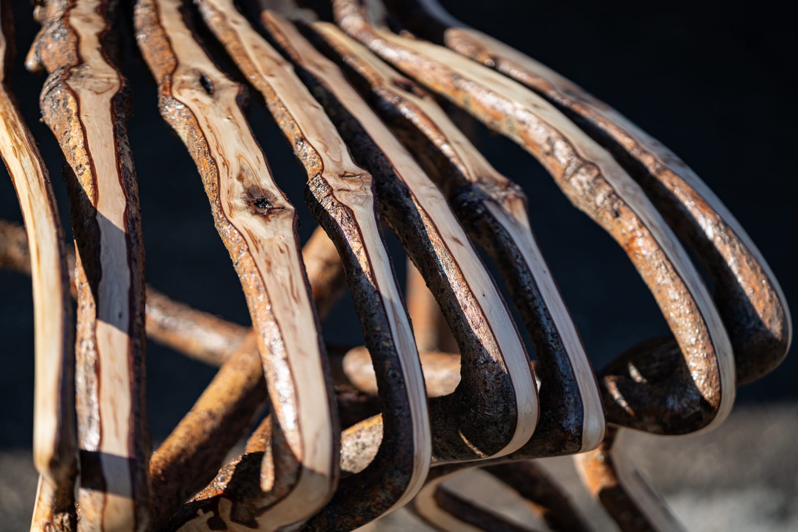 Full Grown, The Kraken Chair, 2024