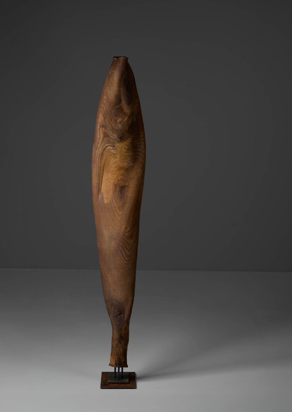 Ernst Gamperl, 29/2024//170, 2024